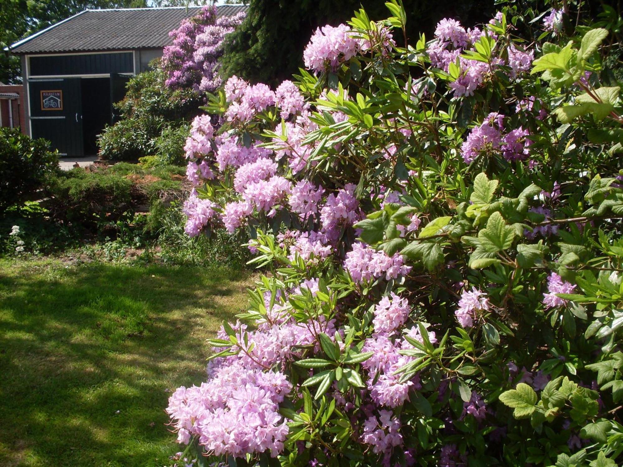 Buitengoed Het Achterdiep Ter Apel Exterior foto